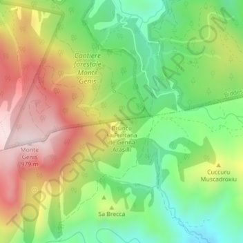 Bruncu sa Funtana de Genna Arasilli topographic map, elevation, terrain