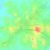 La Arena topographic map, elevation, terrain