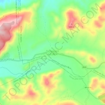Tamaguert topographic map, elevation, terrain