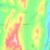 Tinmouth topographic map, elevation, terrain