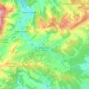 Reichenbach-Steegen topographic map, elevation, terrain