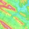 Ustrzyki Dolne topographic map, elevation, terrain