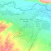 Rincón de los Sauces topographic map, elevation, terrain