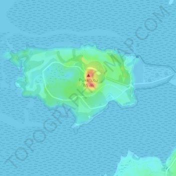 Puketutu Island topographic map, elevation, terrain